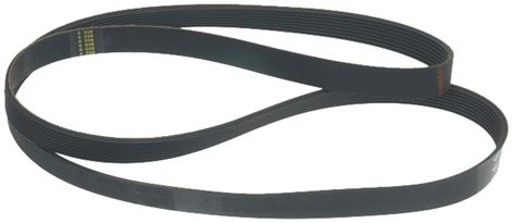 Ремень для профессиональной сушильной машины Вязьма Ipso Primus 511255 H8 3062025