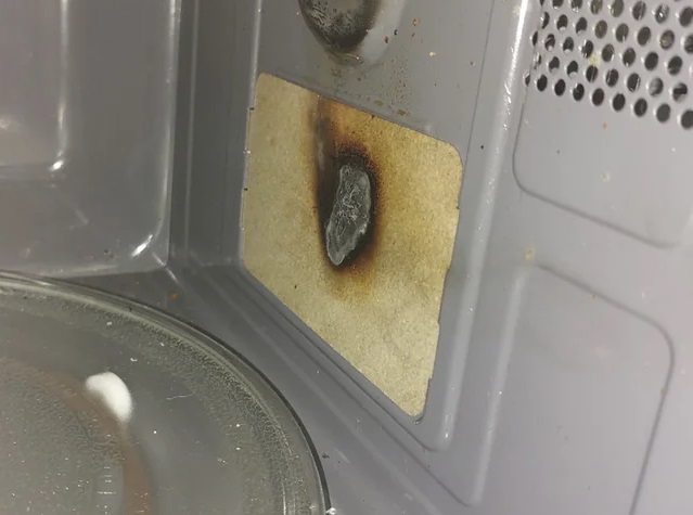 Burnout of a mica plate in a microwave oven