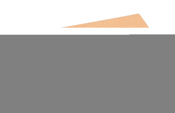 Рожок для кофеварки DeLonghi 5513201079